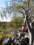 Waterhole Halali