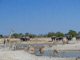 Etosha