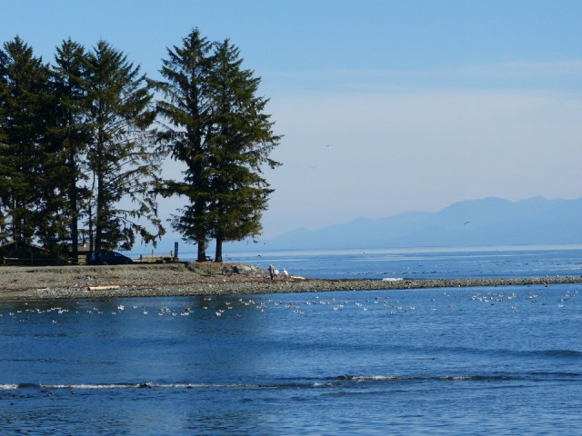 strand bij Sooke