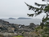 Pacific Rimpark