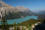 Peyto lake