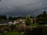 Storm in achtertuin Sandy en Frank