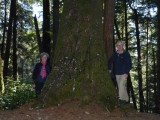 John Dean prov. park