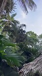 IMG_1901