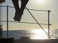 45497968_Unknown