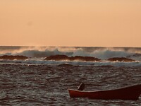 45498288_Unknown