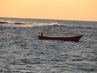 45498320_Unknown
