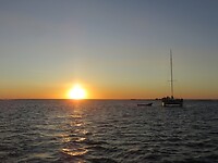45498512_Unknown
