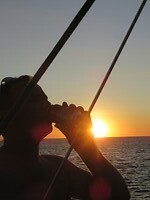 45498544_Unknown