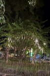 IMG_2013