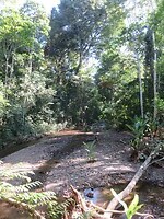 45501280_Unknown