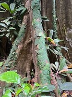 IMG_2055
