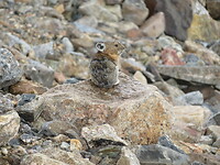 IMG_0040