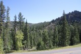 03 - Black Hills