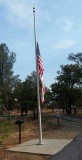 01 - Overal de vlag halfstok