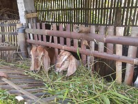 IMG-20230307-WA0012