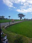 IMG-20230307-WA0010