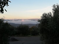 Nigüelas