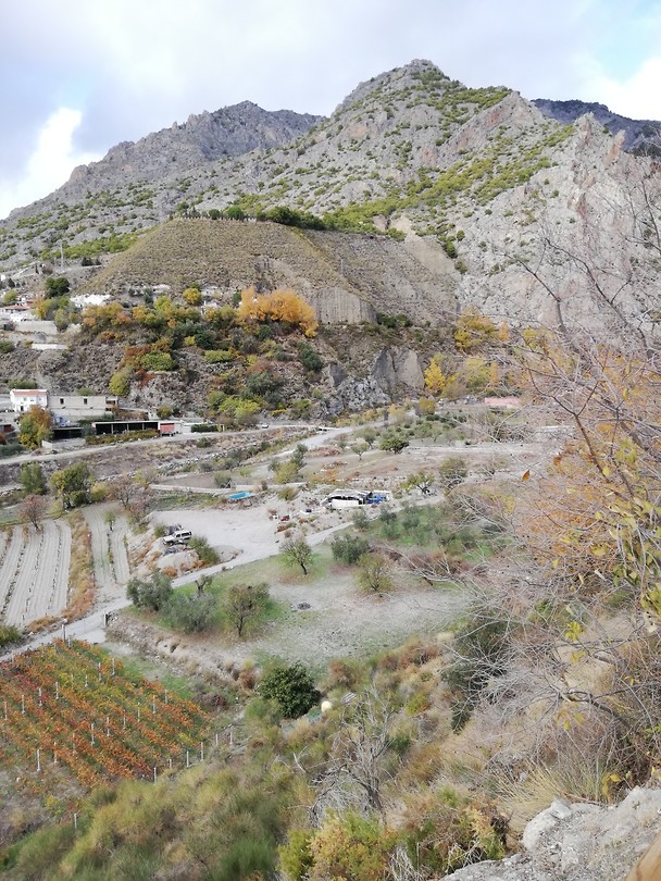 Nigüelas