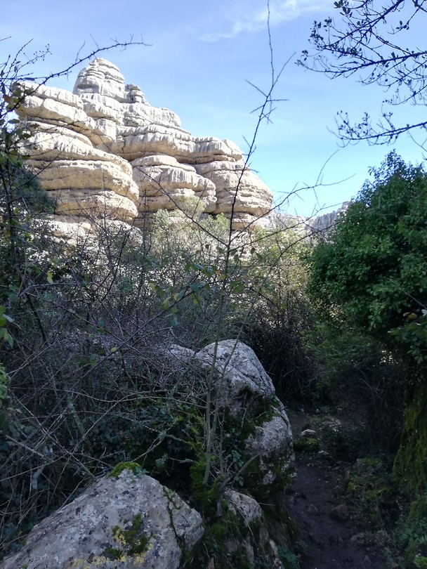 Torcal
