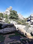 Torcal