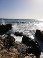 Torrox