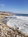Torrox