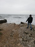 Torrox