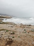 Torrox