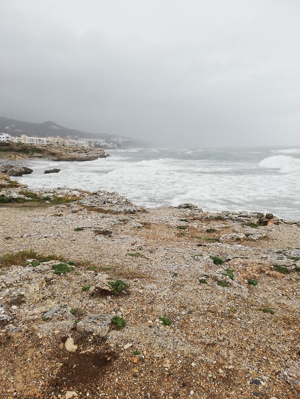 Torrox