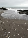 Torrox