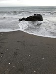 Torrox