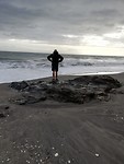 Torrox