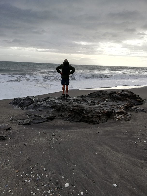 Torrox