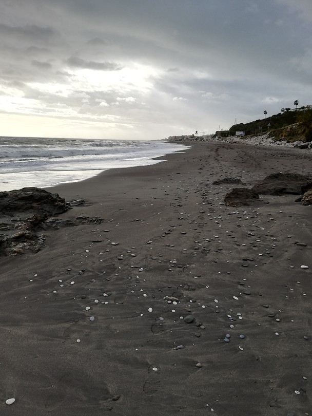 Torrox