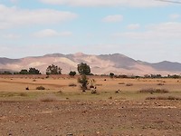 berglandschap