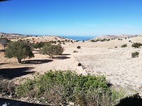 ri Agadir