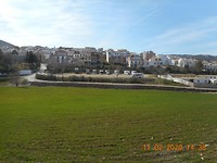 Ardales