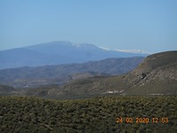 Tabernas