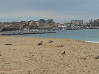 Palamós
