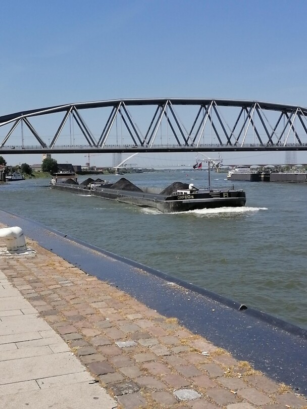 Boten kijken