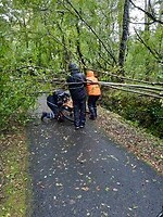 Route canal du midi