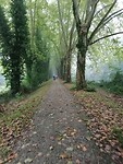 Herfst