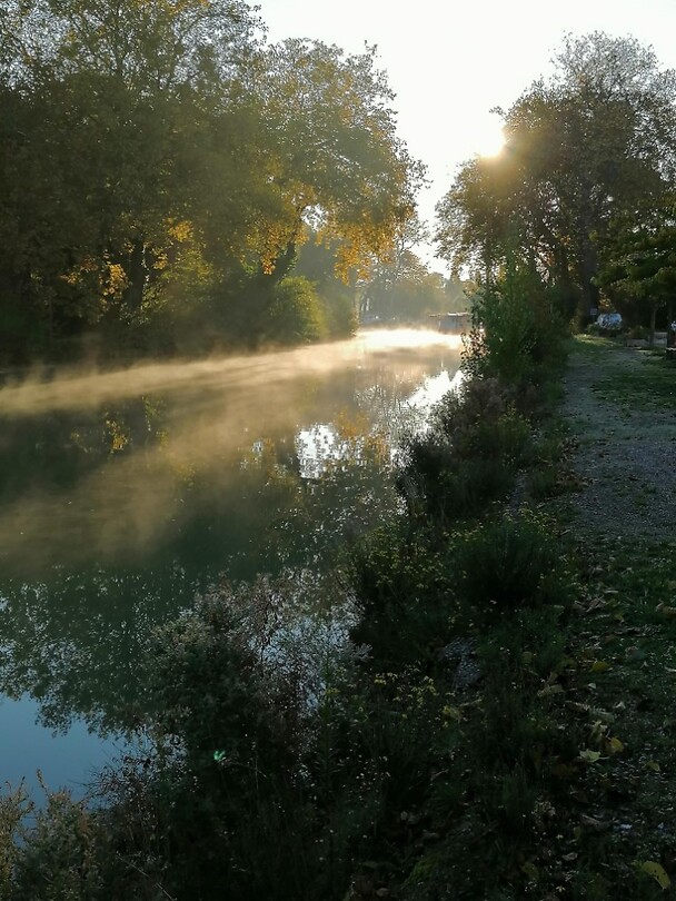 Mistig