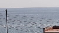Dolfijnen🐬