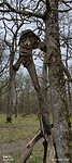Wandeling naar Vit Tel Ta  Natura