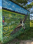 Wandelen