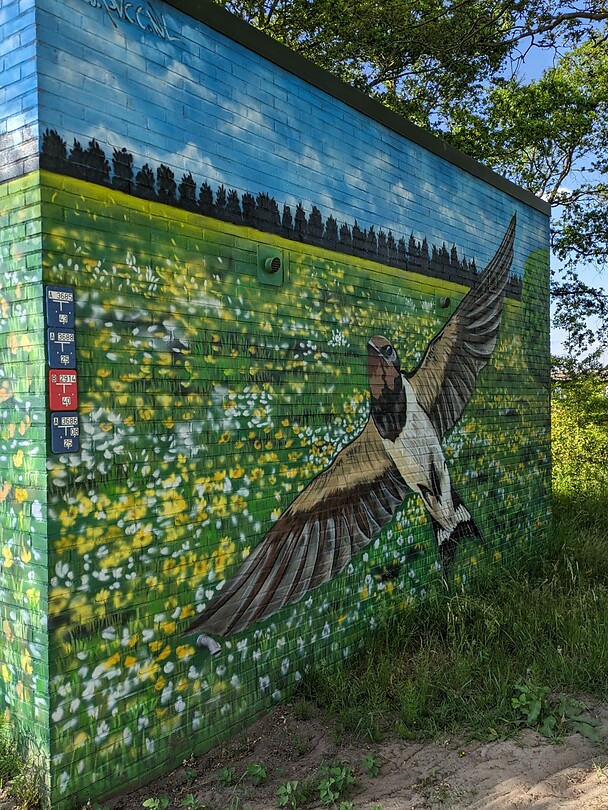 Wandelen