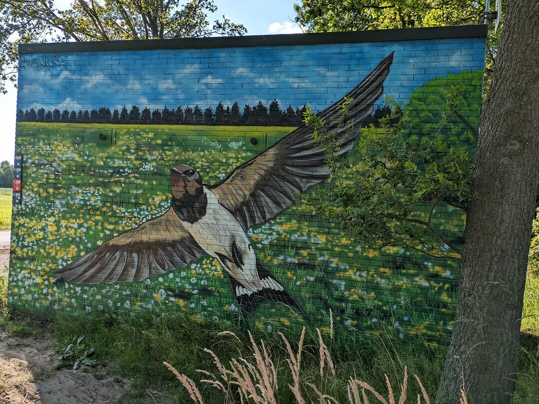 Wandelen