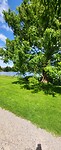 Haderslev